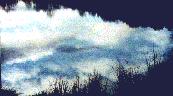 See spiegelt bew�lkten Himmel